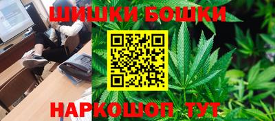 крисы Партизанск