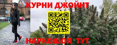 крисы Партизанск