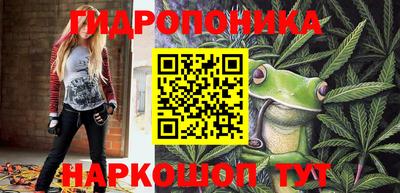 крисы Партизанск