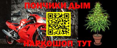крисы Партизанск