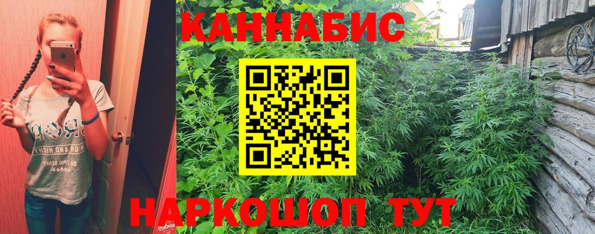 Шишки марихуана марихуана  Вход с VPN  Братск  Шишки марихуана MAZAR  Бошки Шишки план 